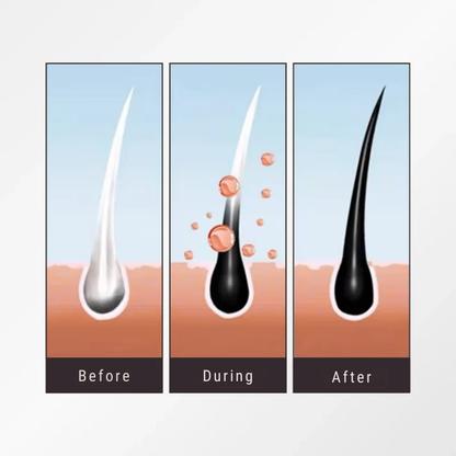 [Exclusive] Natural Botanical Hair Dye Shampoo 3 in 1 (Lasts Up to 6 Months of Use!)